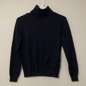 Banana Republic Petite Turtleneck Sweater